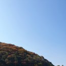 소피아그린 이미지