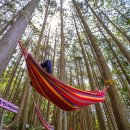 산업단지로옆L 이미지