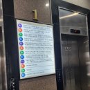 폴리프라자 | 김포 구래동네일 유지력좋은 네일바이슬