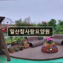 참사랑전문요양원 | 경기도 고양시 노인요양원 요양센터 정보 일산참사랑요양원 일산참사랑요양원, 전문케어 시스템으로...