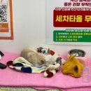 스피드메이트교동점 이미지