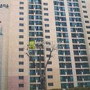 포항시북구35 이미지