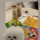 마이온홈대정 이미지