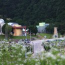 반딧불이 생태학교 이미지