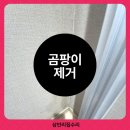 페인트룸 | 광주 베란다 드레스룸 곰팡이제거 및 페인트 도배 시공 후기