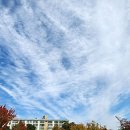 청소년문화공원 이미지