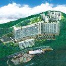 화이트특급 이미지