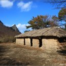 나리 신령수 이미지