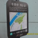 북악단맥-응봉산-무학봉-매봉산-남소문터-남산-남대문-돈의문-(홀뮈,득소)외손주1명, 배병률,(선우국진)-2023.2.12.일욜 이미지