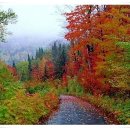 습관도 습관이다 이미지