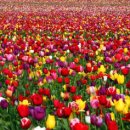 성보한의원 이미지