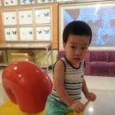 나비야놀자박물관 이미지