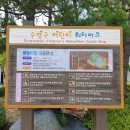 민락동 민락수변공원 어린이공원 이미지