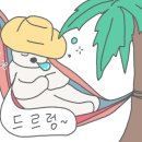 펫살롱 코코 이미지