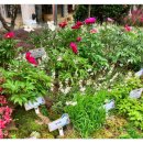 경북약업사 이미지