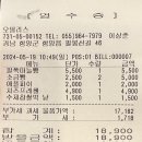 오델리스 이미지