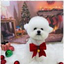 온 그루밍 이미지