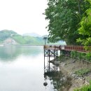 장성호 출렁다리(넘실정) 이미지