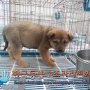 천보산로 이미지