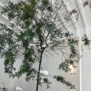 카페페이지(cafe page) | [과천 선바위역] 감성가득 화이트 카페 1page cafe 원페이지 카페 추천 내돈내산 후기