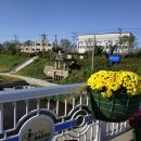 달서천 자전거대여소 이미지