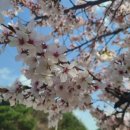 석포면보건지소 이미지