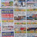 소풍여행사