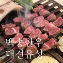 cu구암점 | 대전구암한우맛집 백송한우 대전유성구점