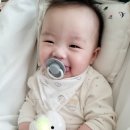 돌준맘 시작 - 메이필드 봉래헌, 시돌이네 돌상, 김기정 스냅 예약완료 (9월 돌잔치 예정)