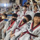 용인대 하나 태권도 이미지