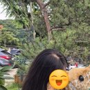 압구정더모의원 | [내돈내산]30대 여자 정수리 탈모 극복기