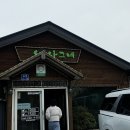 나그네손칼국수 | 제주 조천 보말칼국수 맛집 오름나그네 웨이팅 감수할만할까? 해물파전까지 솔직후기