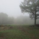 가창면사무소 이미지