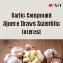 Garlic does more than add flavour 이미지