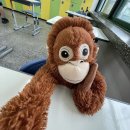 기적의도서관1길 이미지