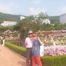 어르신들과 함께한 조선대 장미공원 방문기 이미지