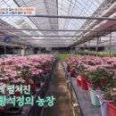 거기농장 이미지