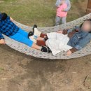 햇살나라어린이집 이미지