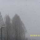 진고개목장 이미지