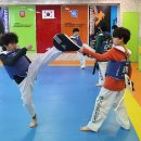 태권도충효체육관 이미지