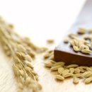 금성축산영농조합법인 이미지