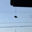 스테이더담 남해삼동점 이미지