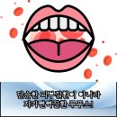 성모류마내과의원 이미지