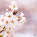 휘림한방병원 이미지