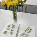 후즈보태니컬아트