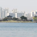 일산호수공원 이미지