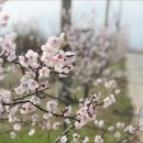 (주)피노핀 이미지