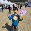 산청공설운동장 실내체육관 | 2026 고창 벚꽃축제, 이 글 하나로 끝내세요! (무료 셔틀/주차/체험 프로그램)