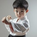 진일태권도 이미지