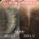 반하는 홍헤어#